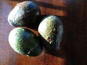 Avocado Chicken Salad