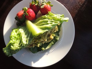 Avocado Chicken Salad