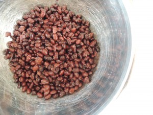 Black Bean Burgers