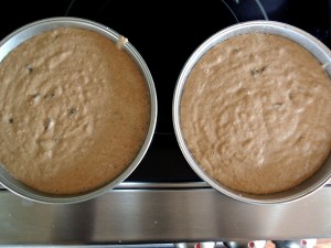Applesauce Cake
