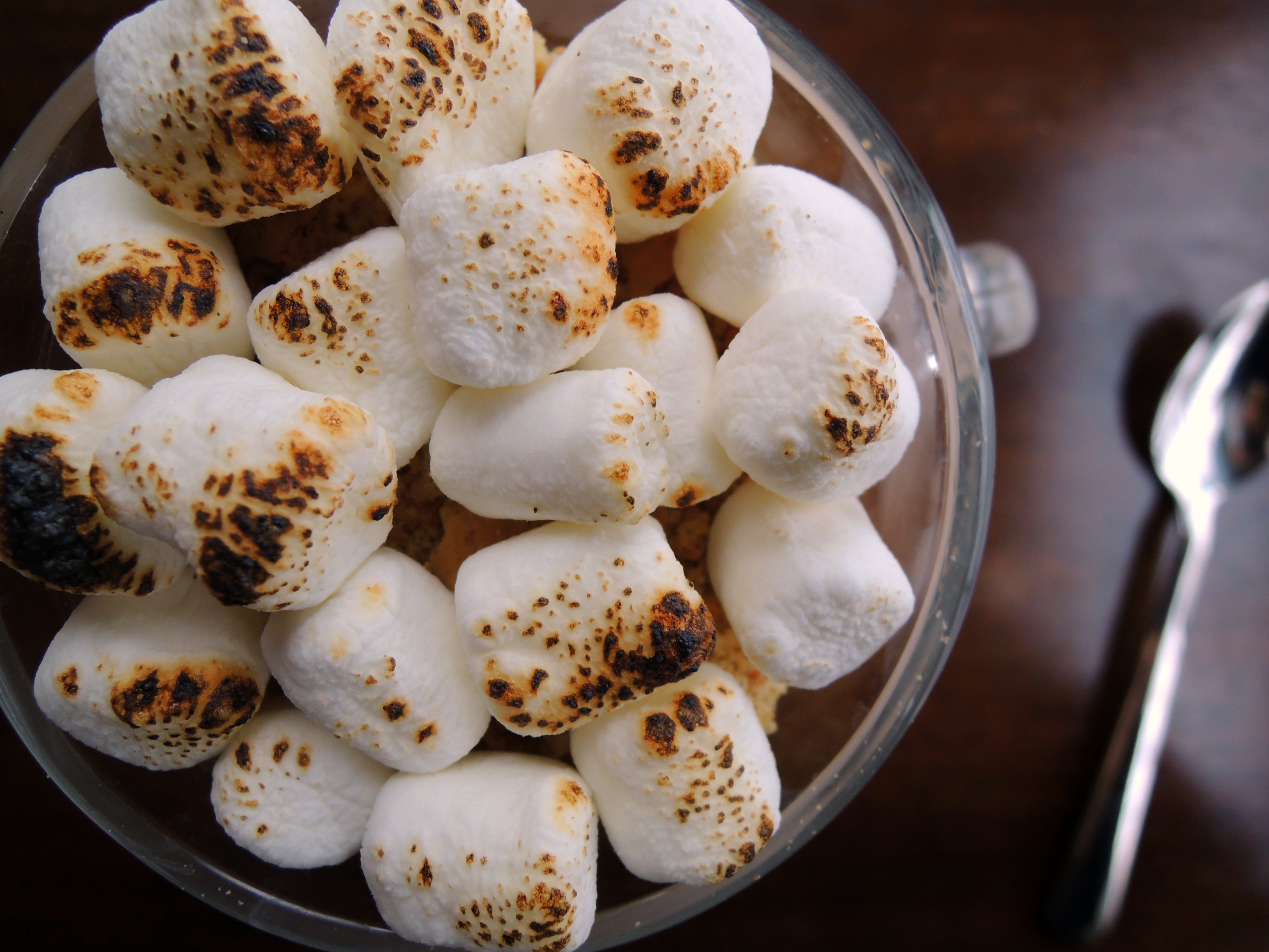 S'more Yogurt Parfait