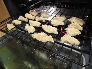 Parmesan Chicken Tenders