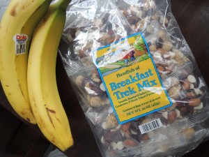 healthy travel snacks